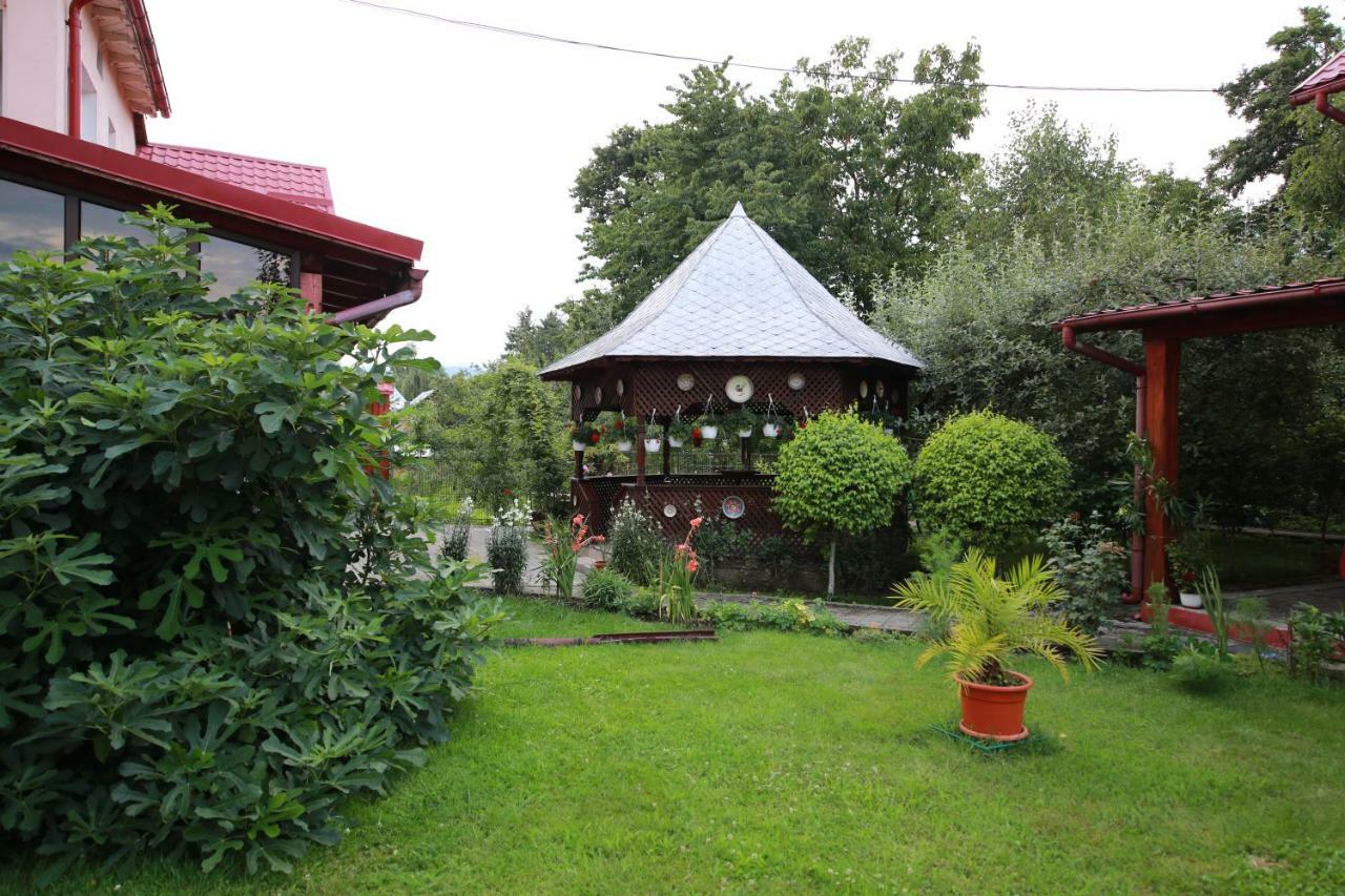 Pensiunea Criveanu Хорезу Экстерьер фото