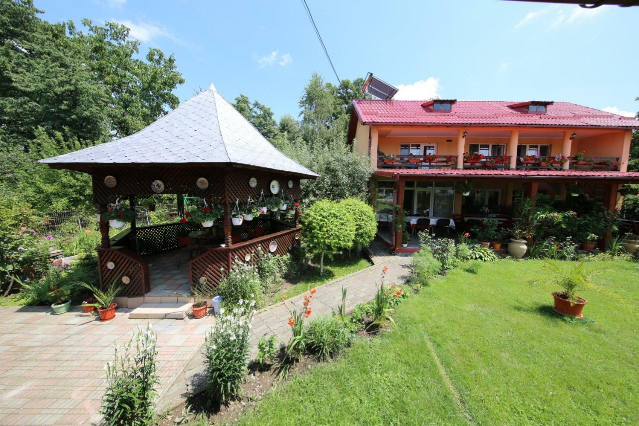 Pensiunea Criveanu Хорезу Экстерьер фото