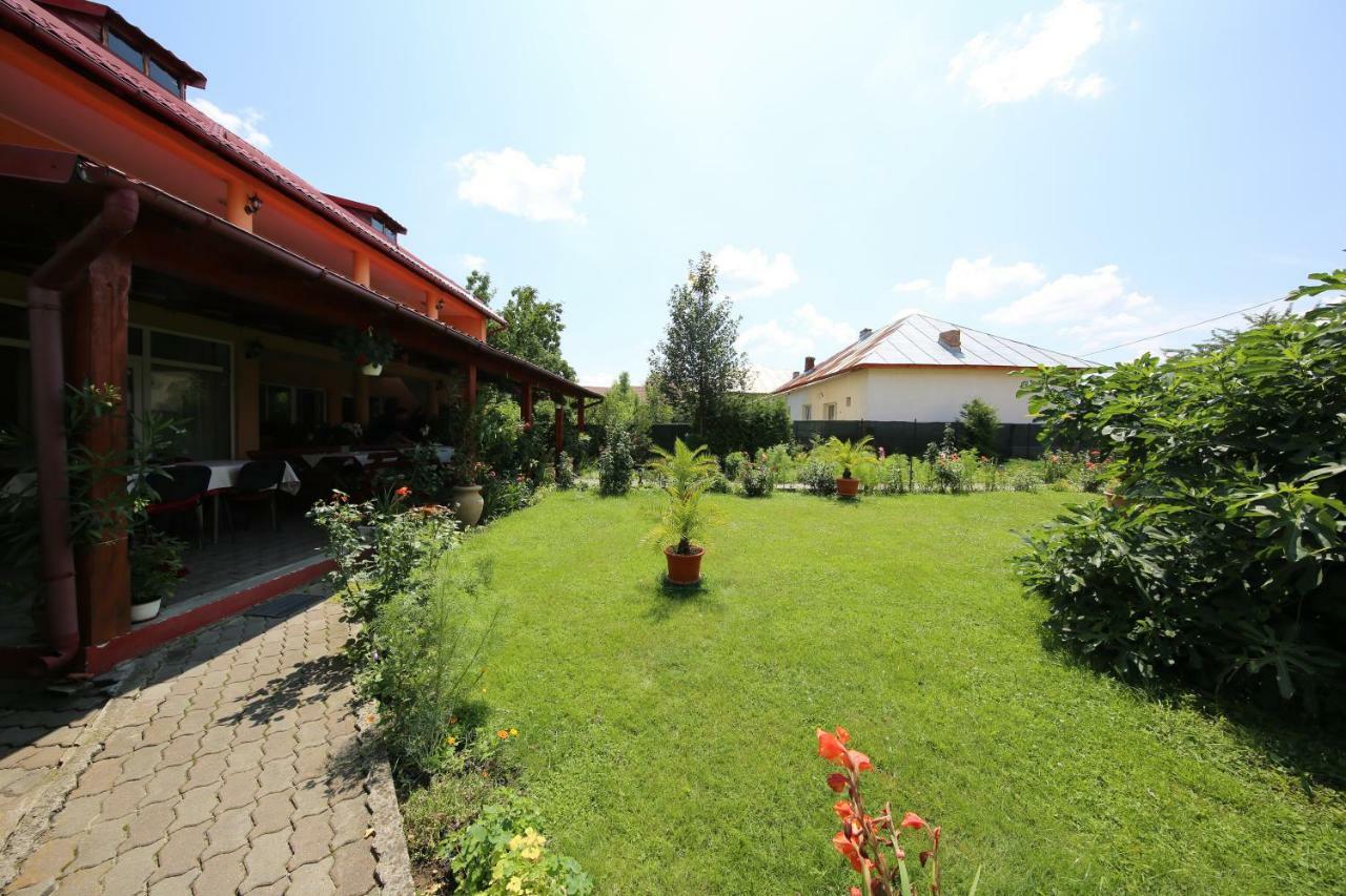 Pensiunea Criveanu Хорезу Экстерьер фото