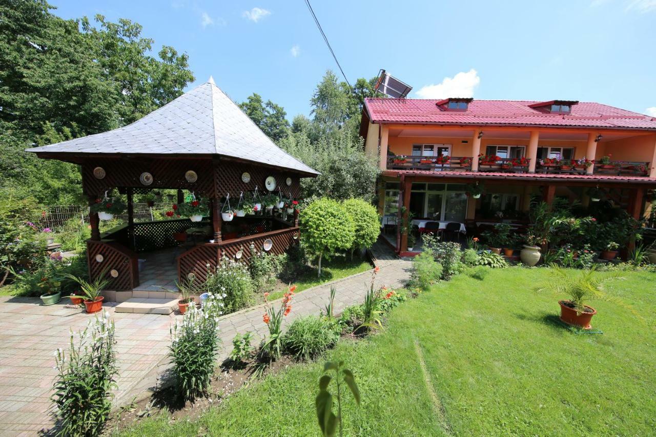 Pensiunea Criveanu Хорезу Экстерьер фото