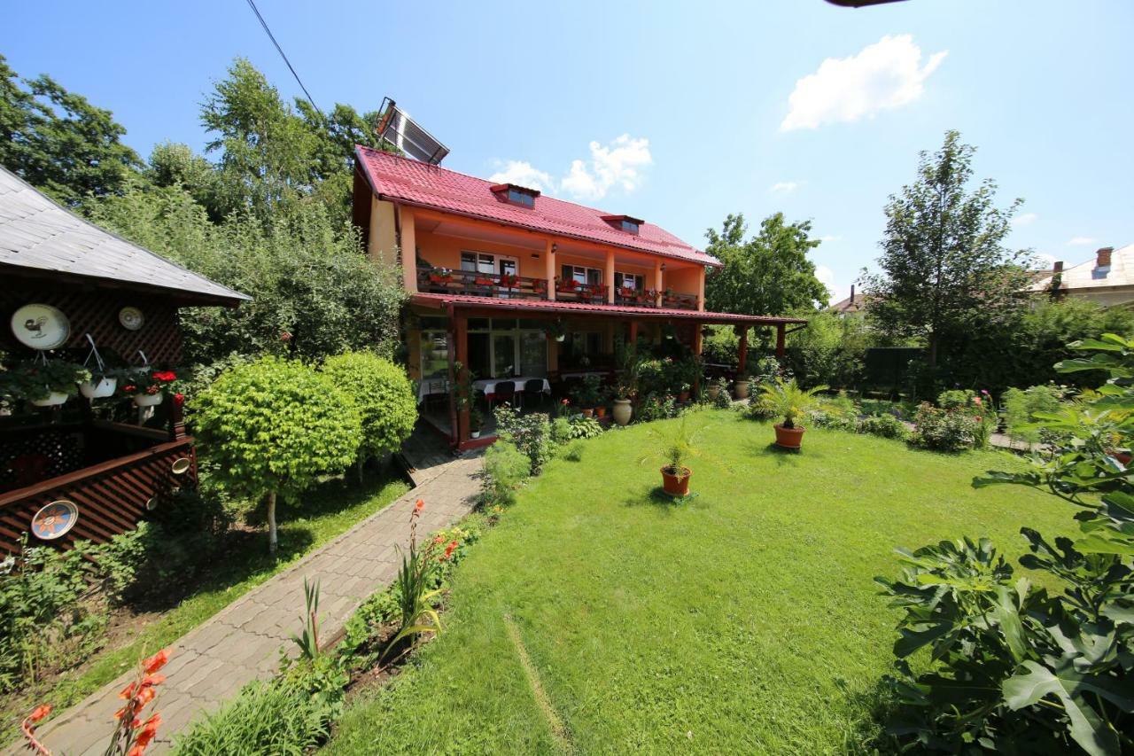 Pensiunea Criveanu Хорезу Экстерьер фото